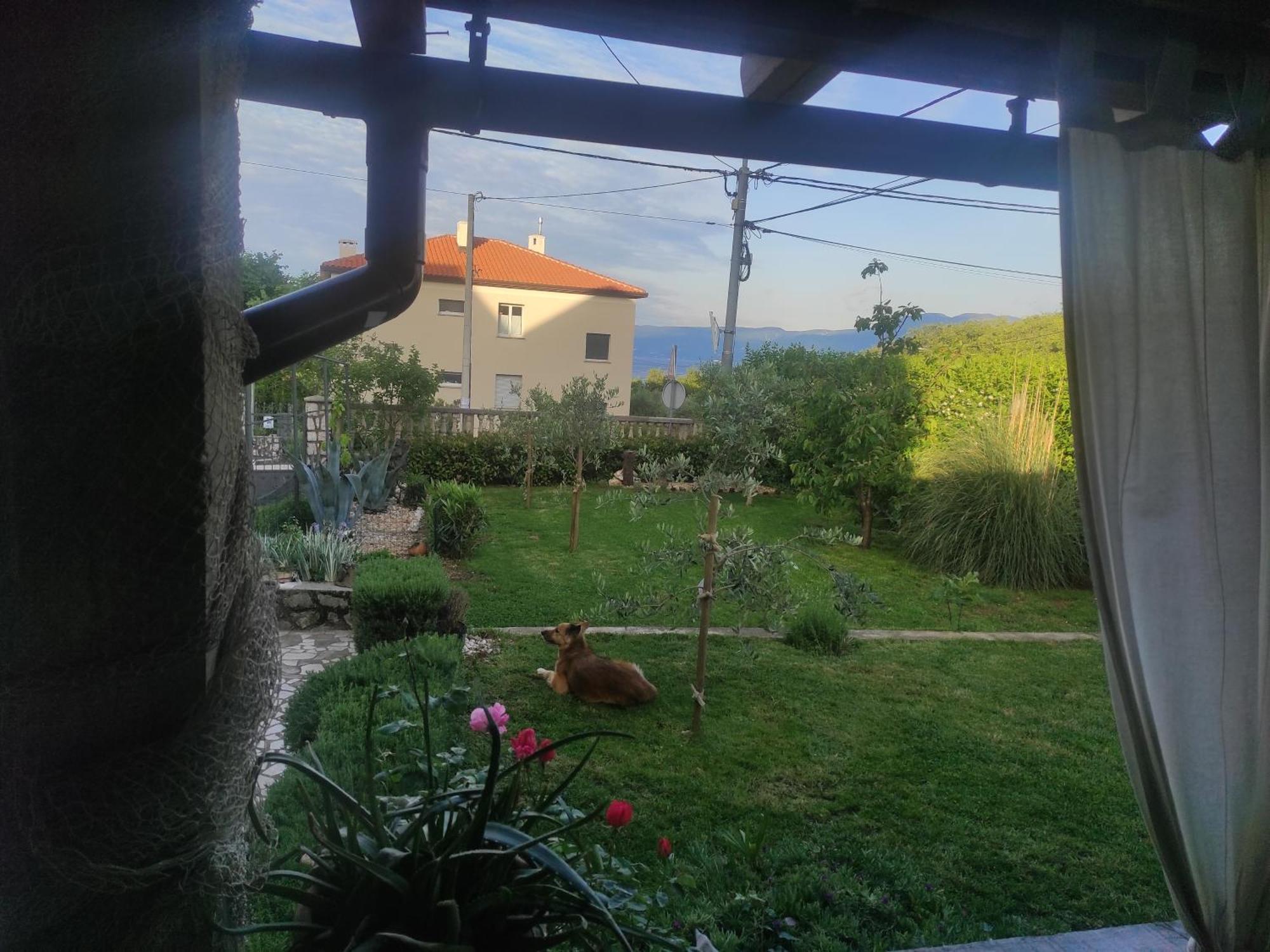 Zoran Vukusic Apartment Kostrena